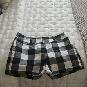 Loft shorts